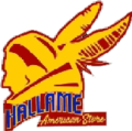 hallamestore.cl